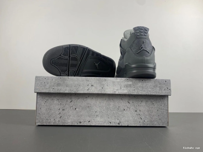 Air Olympics Paris Jordan SE 4 0711